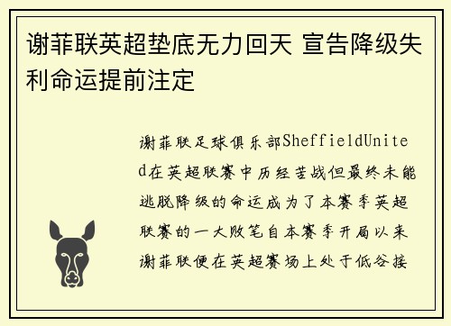 谢菲联英超垫底无力回天 宣告降级失利命运提前注定