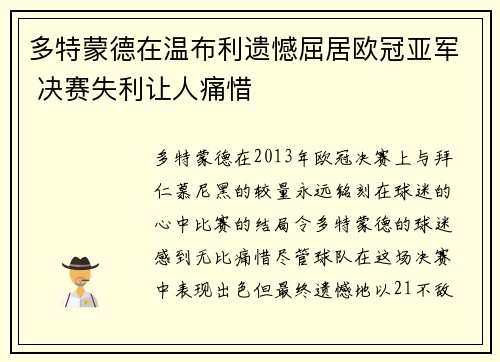 多特蒙德在温布利遗憾屈居欧冠亚军 决赛失利让人痛惜